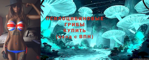 a pvp Вязьма