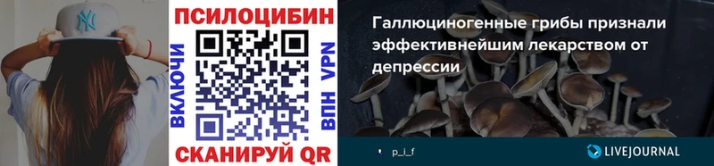 Купить  Советский  Псилоцибиновые грибы Psilocybe 